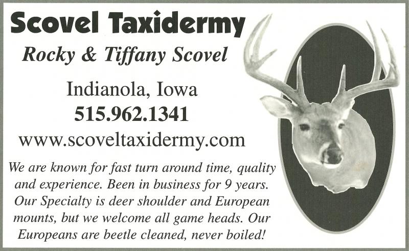 Scovel Taxidermy